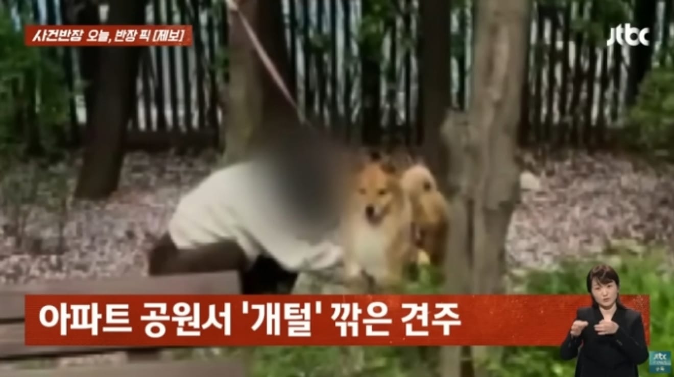 JTBC 'Incident Manager' Woman Shears Dog's Fur in Gangnam Apartment Park and Discards the Fur