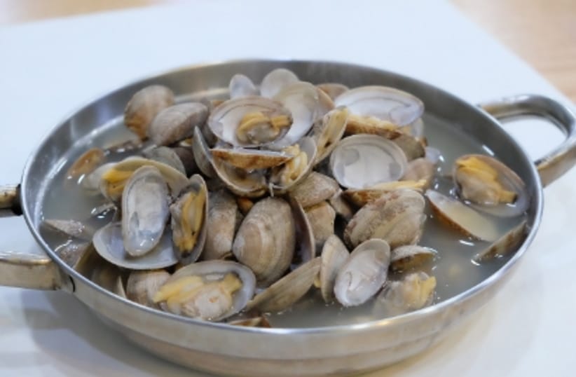 Cara Membuang dan Mengolah Cangkang Kerang