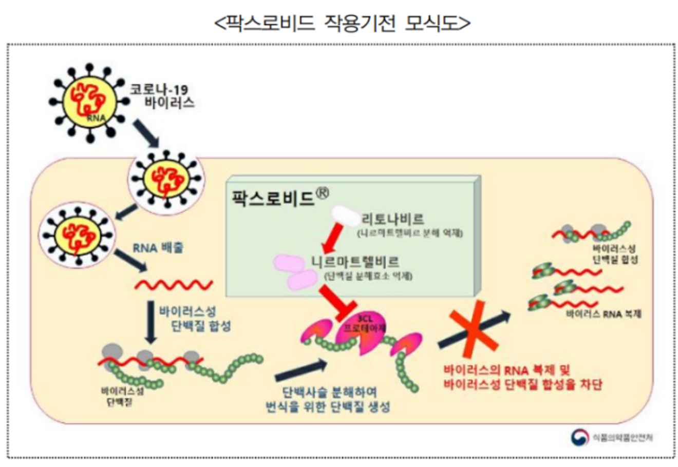 코로나 치료제 팍스로비드 부작용은?