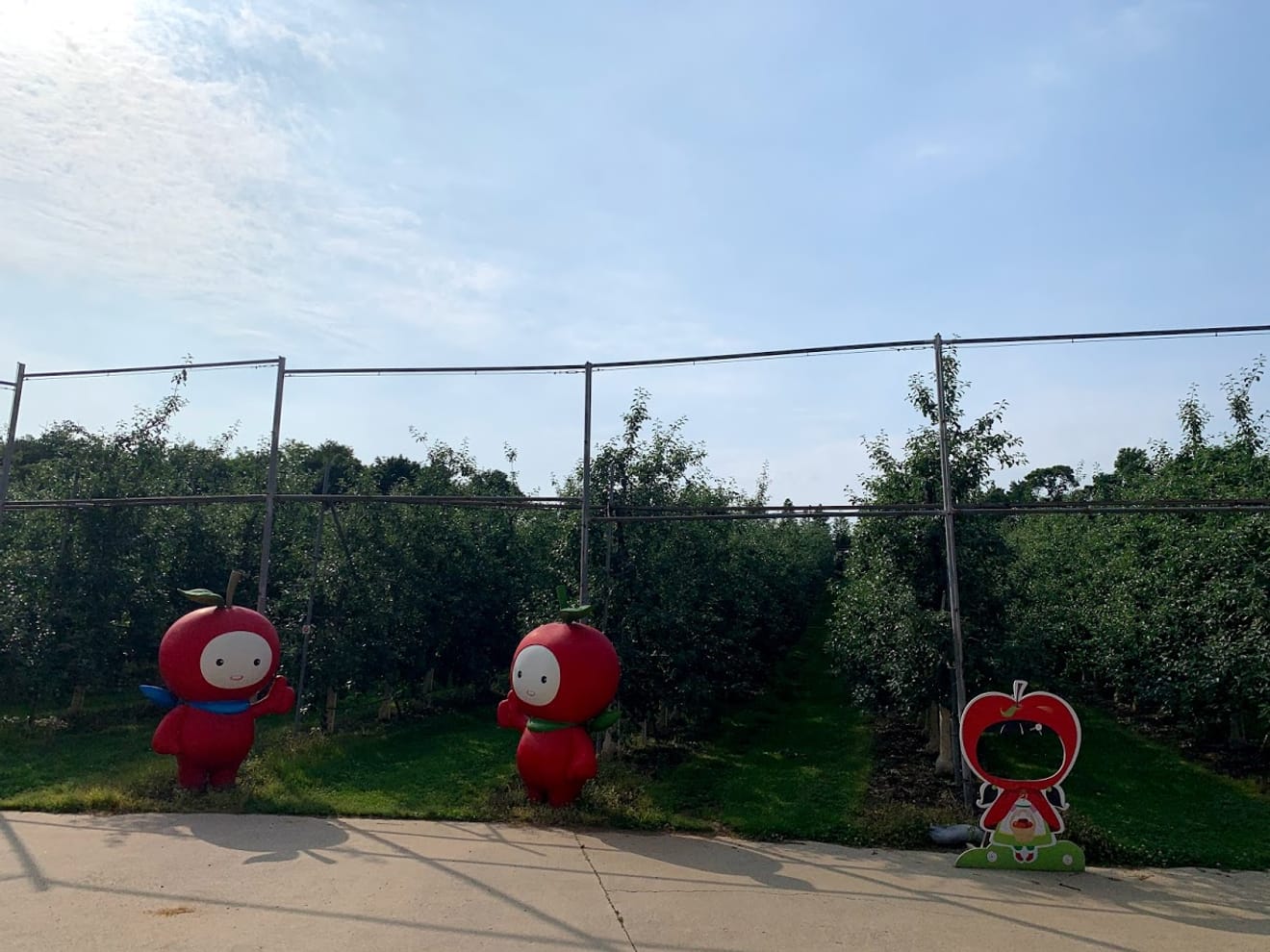 [Visite des Caves] 8. Découverte du vin et du brandy de pomme, spécialité d'Yesan, lors d'une visite guidée avec cachet à Yesan Saengwa Wine