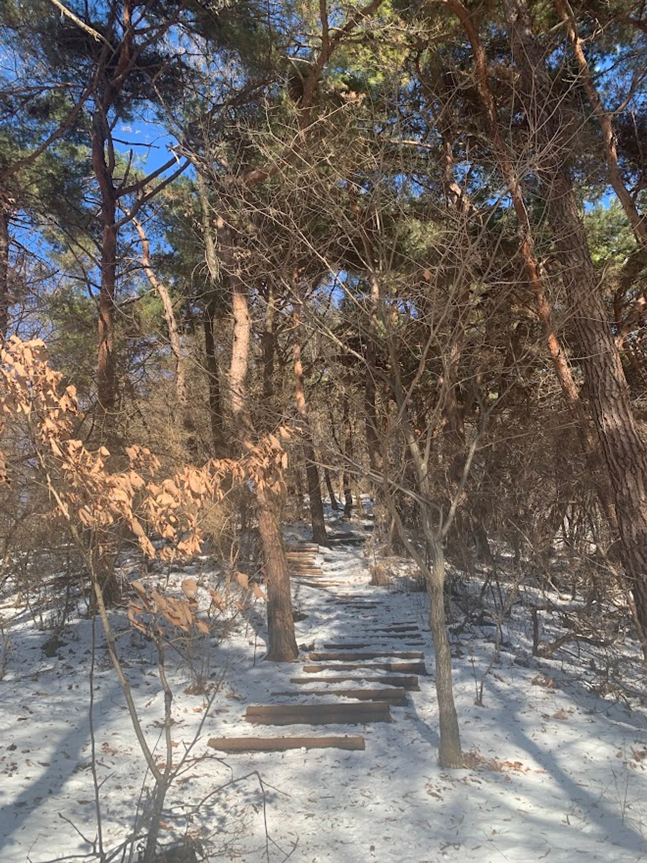 [Ulusal Park Pul Turu] 10. 월악산 (Walaksan) Yeni Başlayanlar İçin Kar Çiçeği Dağcılık Rotası Oksunbong'un Chungju Gölü Manzarası