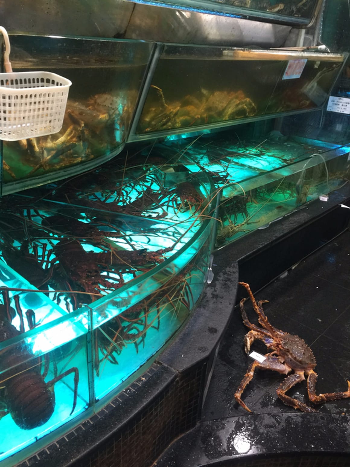[Hongkong Zeevruchten Koningskrab Aanbeveling] Victoria Harbour Restaurant
