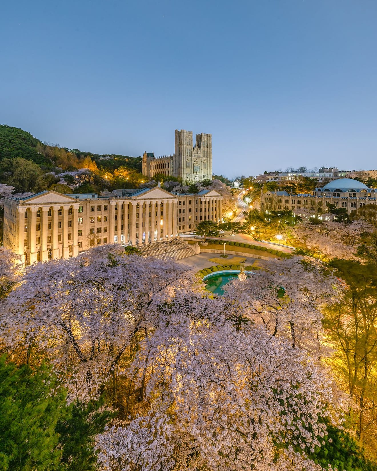 Pink in Spring! Top 10 Cherry Blossom Spots in Seoul for 2024