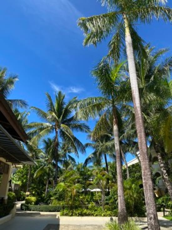 [Recensione Onesta] Boracay Henann Garden Camera con accesso alla piscina n. 133 (Consigliata per coppie, colazione, piscina, posizione)