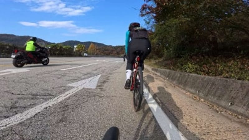 스페셜라이즈드 승리를 향한 퍼레이드 피터사간과 함께 춘천 62km 라이딩 후기