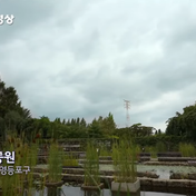 Check out the hidden travel destinations near Seoul introduced on KBS News Plaza in a 20-second video. Various places such as Seonyudo Park, Aquaplanet Ilsan, Deoksugung Palace, and Sinseong-ri Reed Field are introduced.