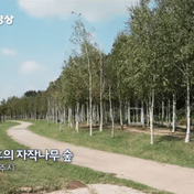 Check out these 4 hidden travel destinations introduced by KBS News Plaza in a 20-second video: Han River Park in Namyangju, Paju Heyri Art Valley, Olympic Park Wildflower Hill in Seoul, and Gwanchoksa Temple in Nonsan.