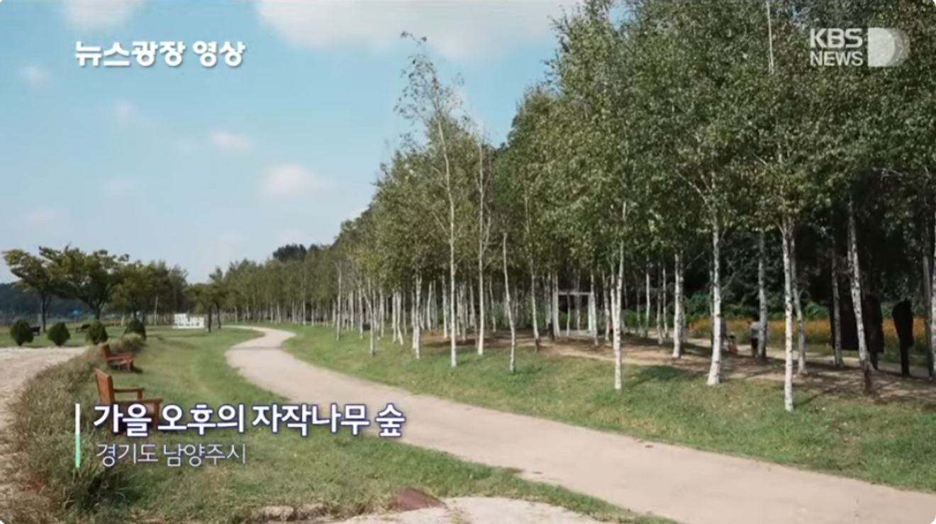 Ancora indeciso su dove andare in vacanza? KBS 뉴스광장, 20 secondi di <Luoghi nascosti da visitare> della prima settimana di ottobre