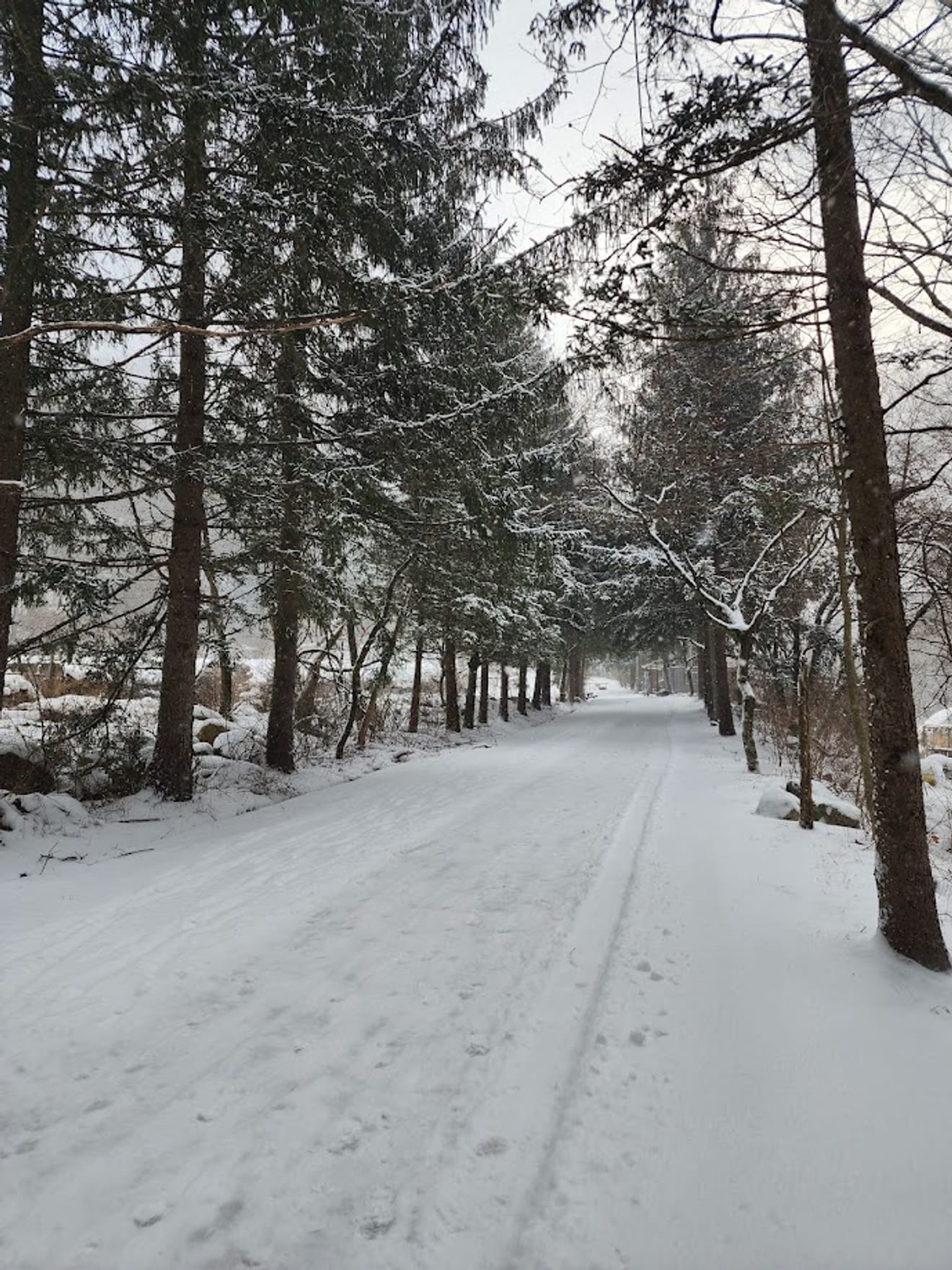 [National Park Stamp Tour] 13. Easy Snow Hiking in Naejangsan with a Cable Car, Even for Beginners