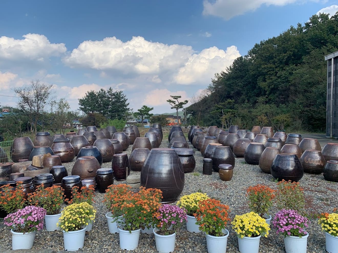 [訪ねて行く酒蔵] 14. 小曲酒の村 ハンサンで出会うハンサン小曲酒