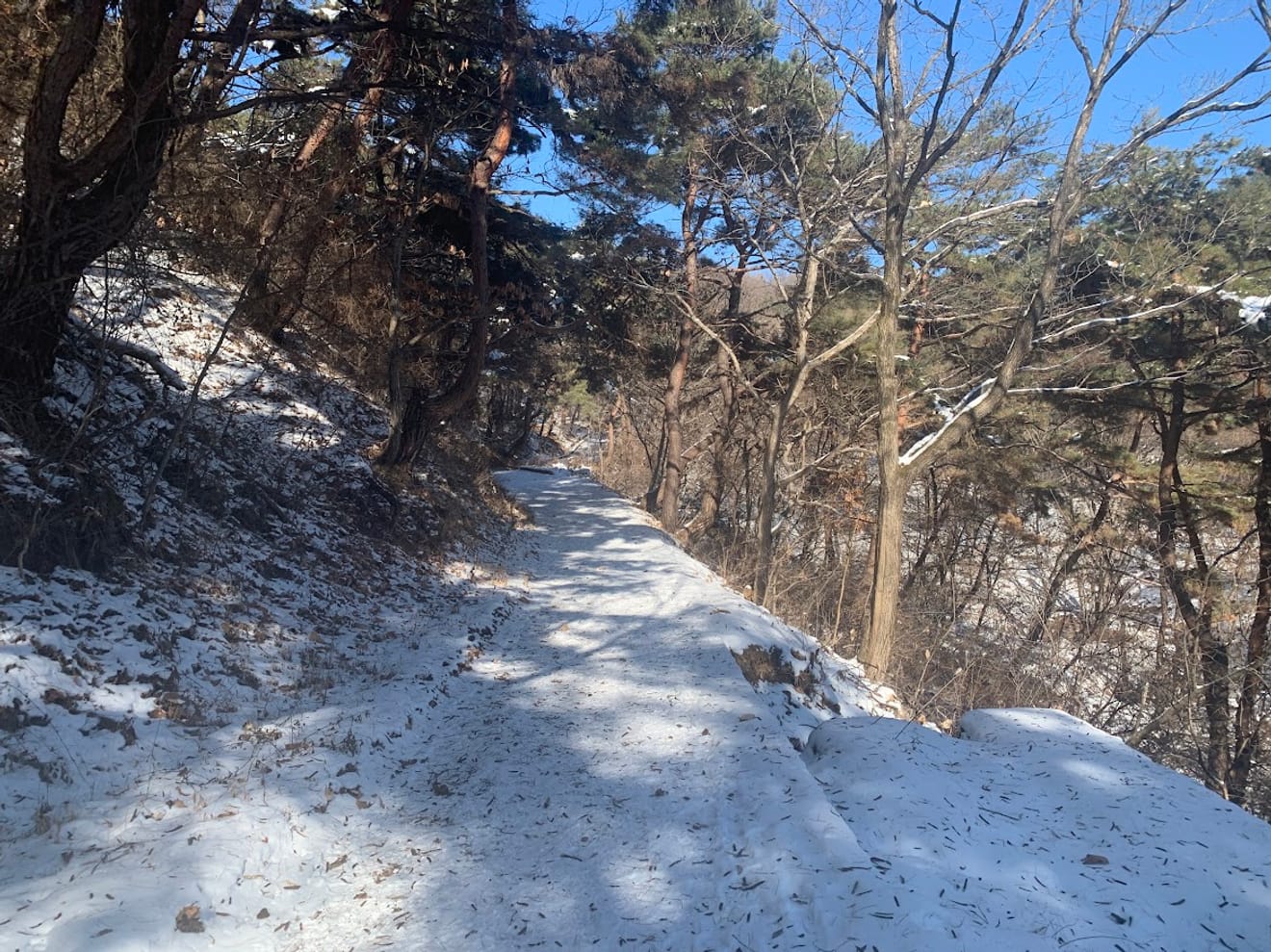 [Ulusal Park Pul Turu] 10. 월악산 (Walaksan) Yeni Başlayanlar İçin Kar Çiçeği Dağcılık Rotası Oksunbong'un Chungju Gölü Manzarası