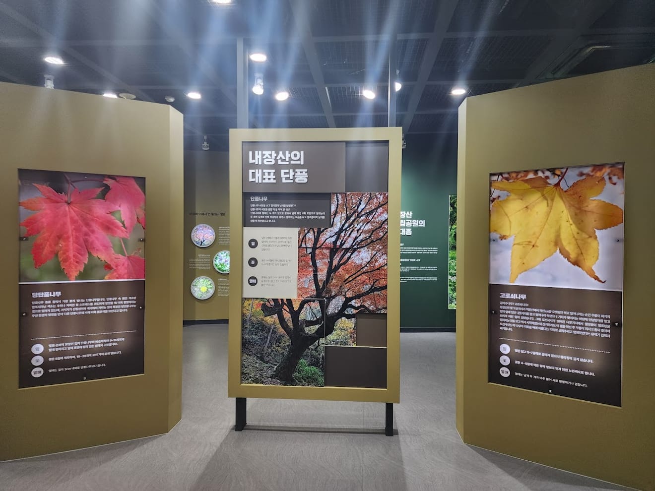 [National Park Stamp Tour] 12. Naejangsan National Park, Famous for its Maple Leaves, and the Cable Car