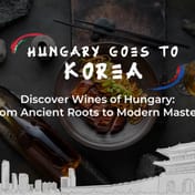 Hungarian Wine Association Teams Up with Nimbility to Launch a Full-Scale Campaign in the Korean Market