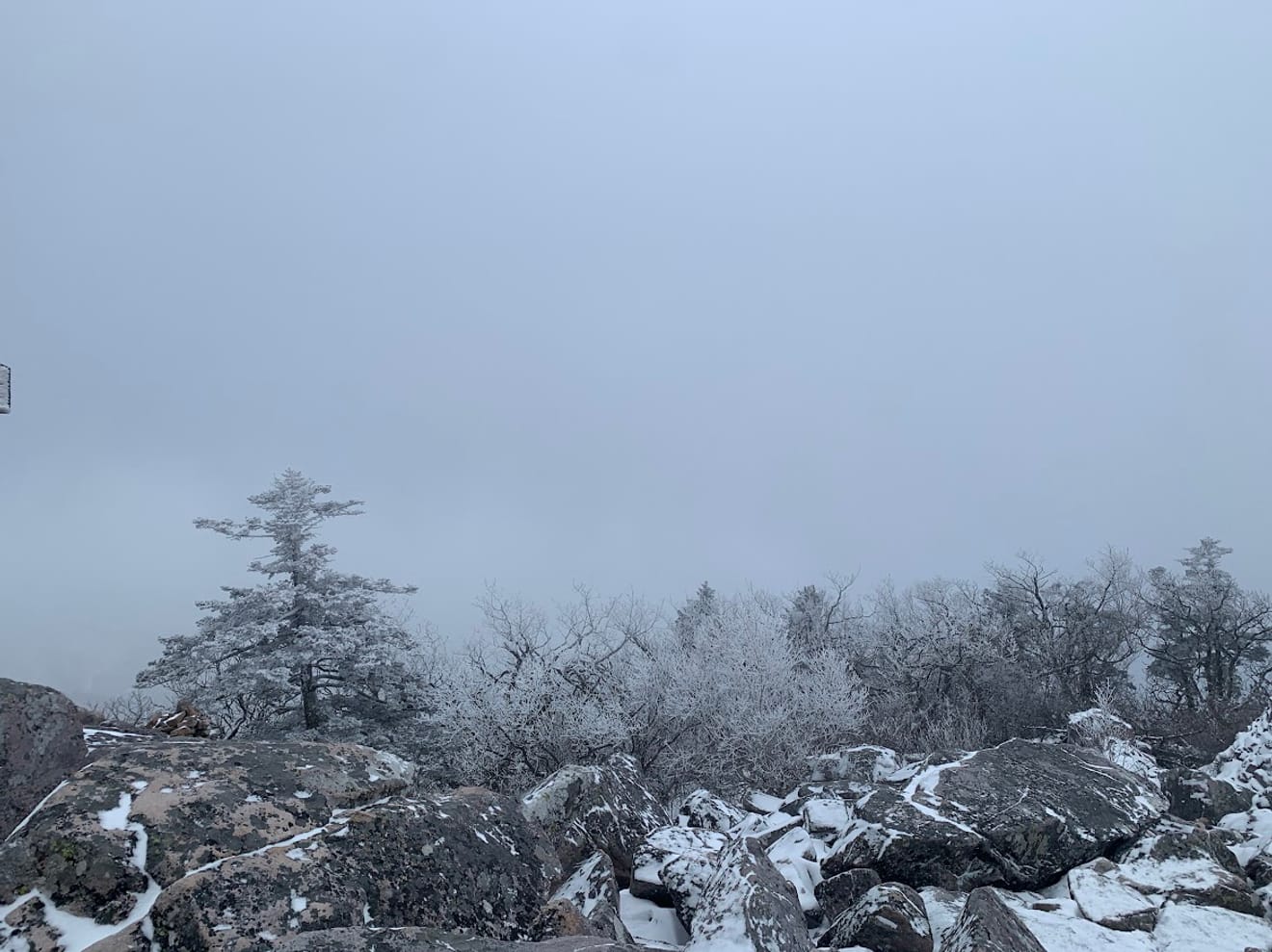 [National Park Stamp Tour] 11. Taebaeksan, Beautiful with Snow Flowers