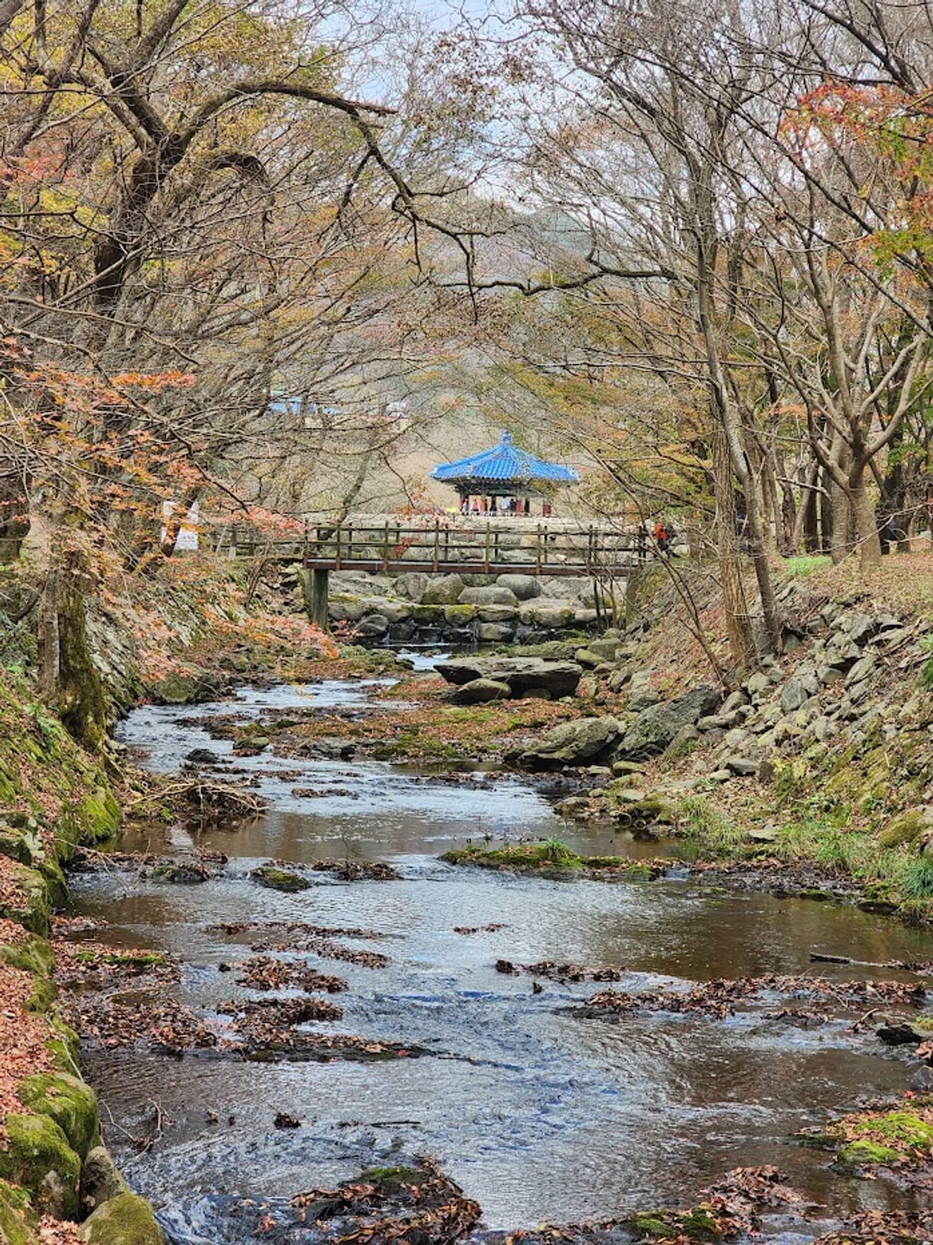 [National Park Stamp Tour] 12. Naejangsan National Park, Famous for its Maple Leaves, and the Cable Car