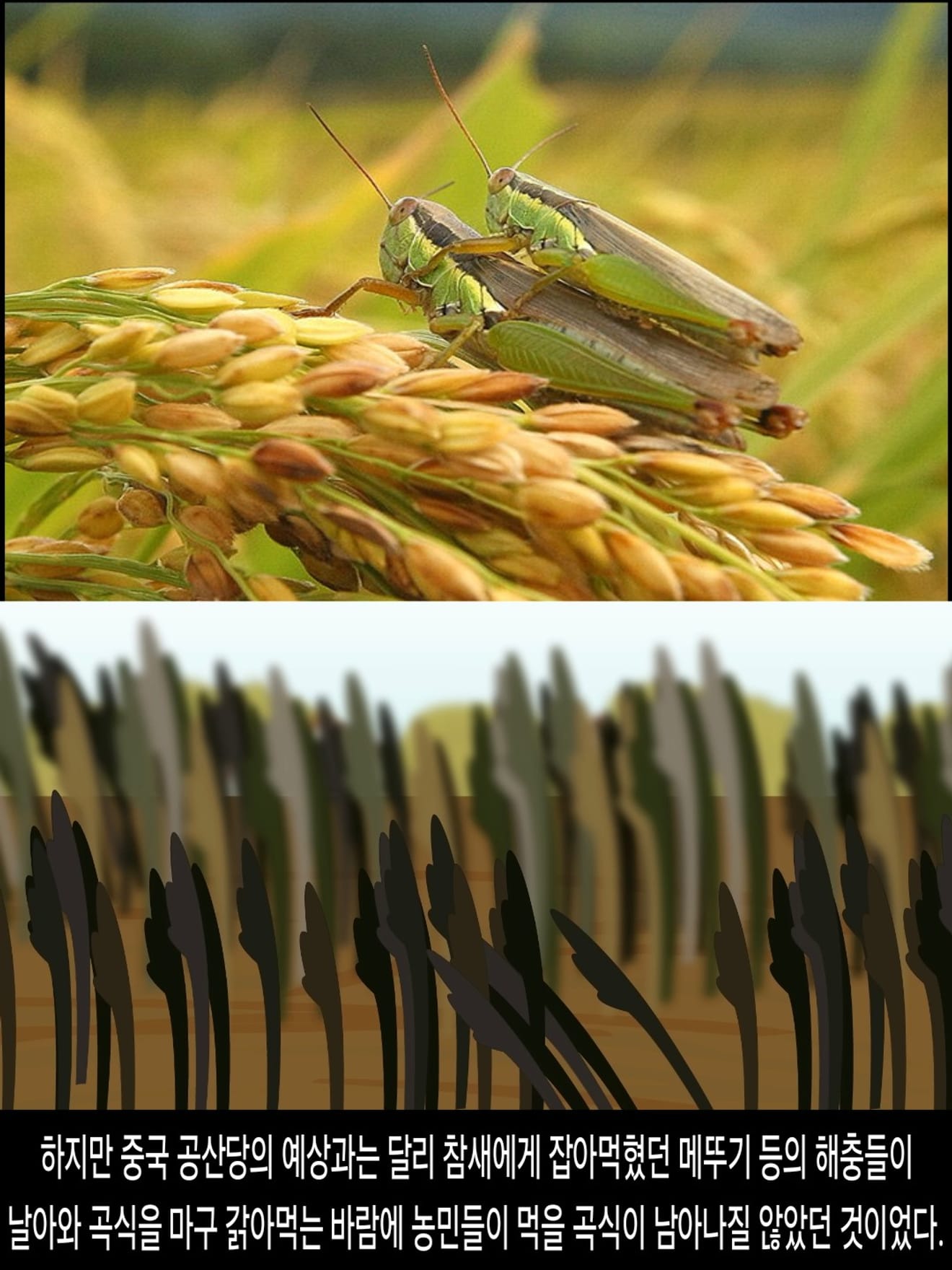 <DHC> นโยบายที่น่าสลดใจที่สุดในประวัติศาสตร์จีน การก้าวกระโดดครั้งใหญ่ ซึ่งทำให้ผู้คนหลายสิบล้านคนต้องเผชิญกับความตาย