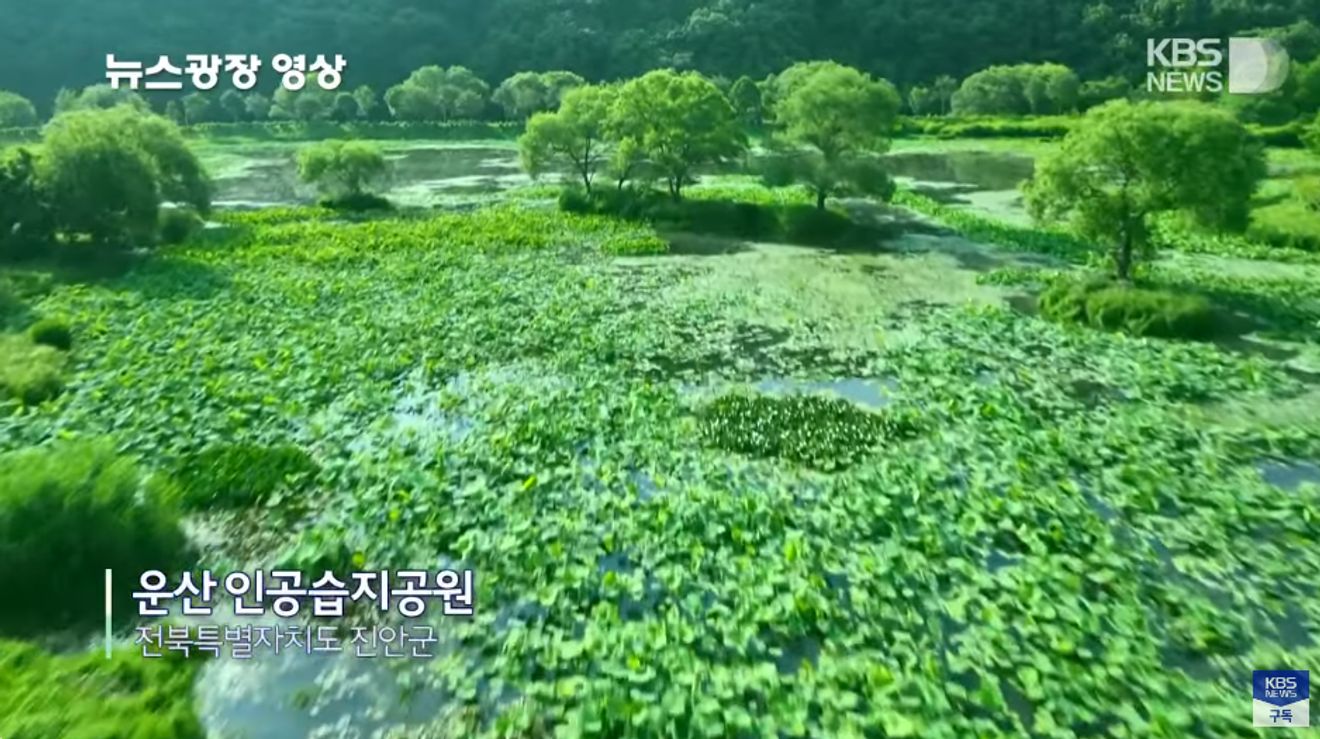 還沒決定要去哪旅行嗎？KBS 新聞廣場，20秒看懂〈隱藏版旅遊景點〉7月第3週