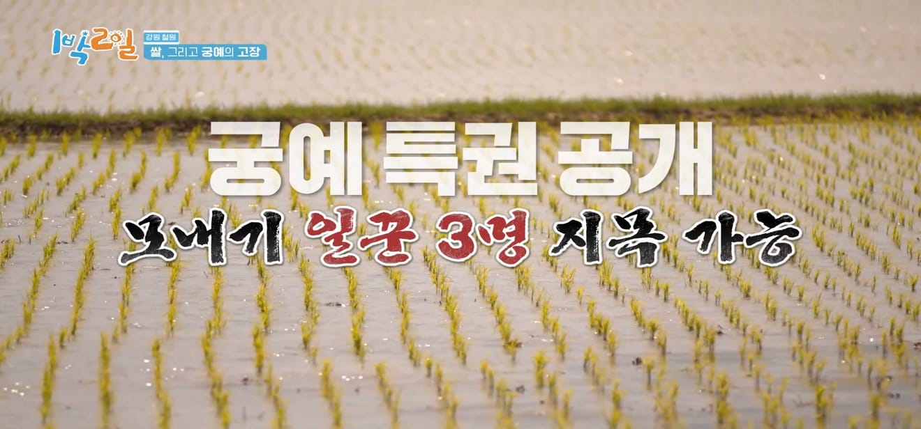 1 đêm 2 ngày, Gangwon-do Cheorwon, điểm đến thưởng ngoạn mùa xuân muộn nhất!