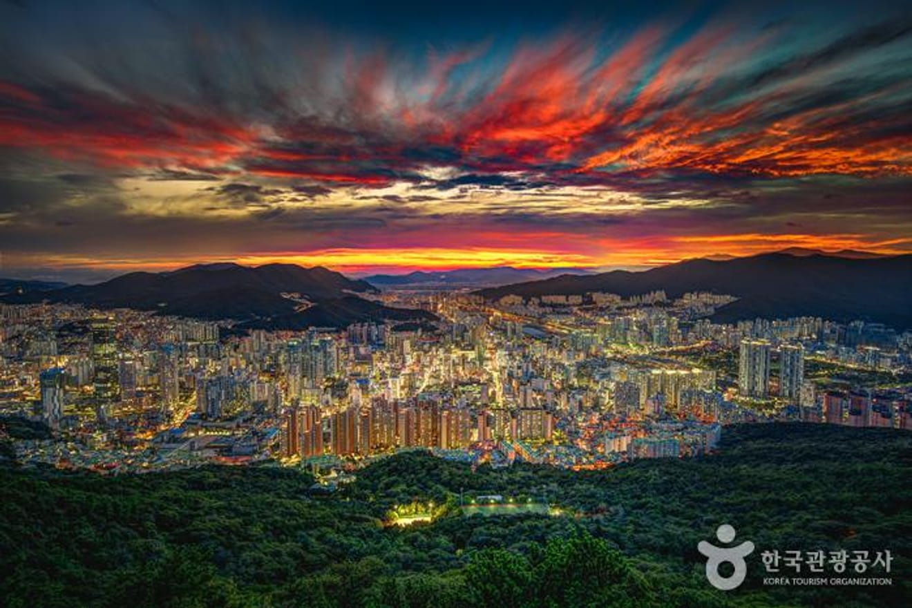 Heißer als Kirschblüten! Die besten Kirschblüten-Spots in Busan 2024 für unvergessliche Fotos