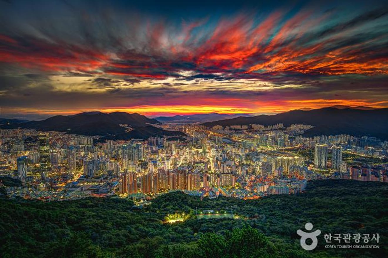 Even Hotter Than Cherry Blossoms! 2024 Busan's Top 7 Cherry Blossom Spots Guaranteed to Capture Stunning Photos