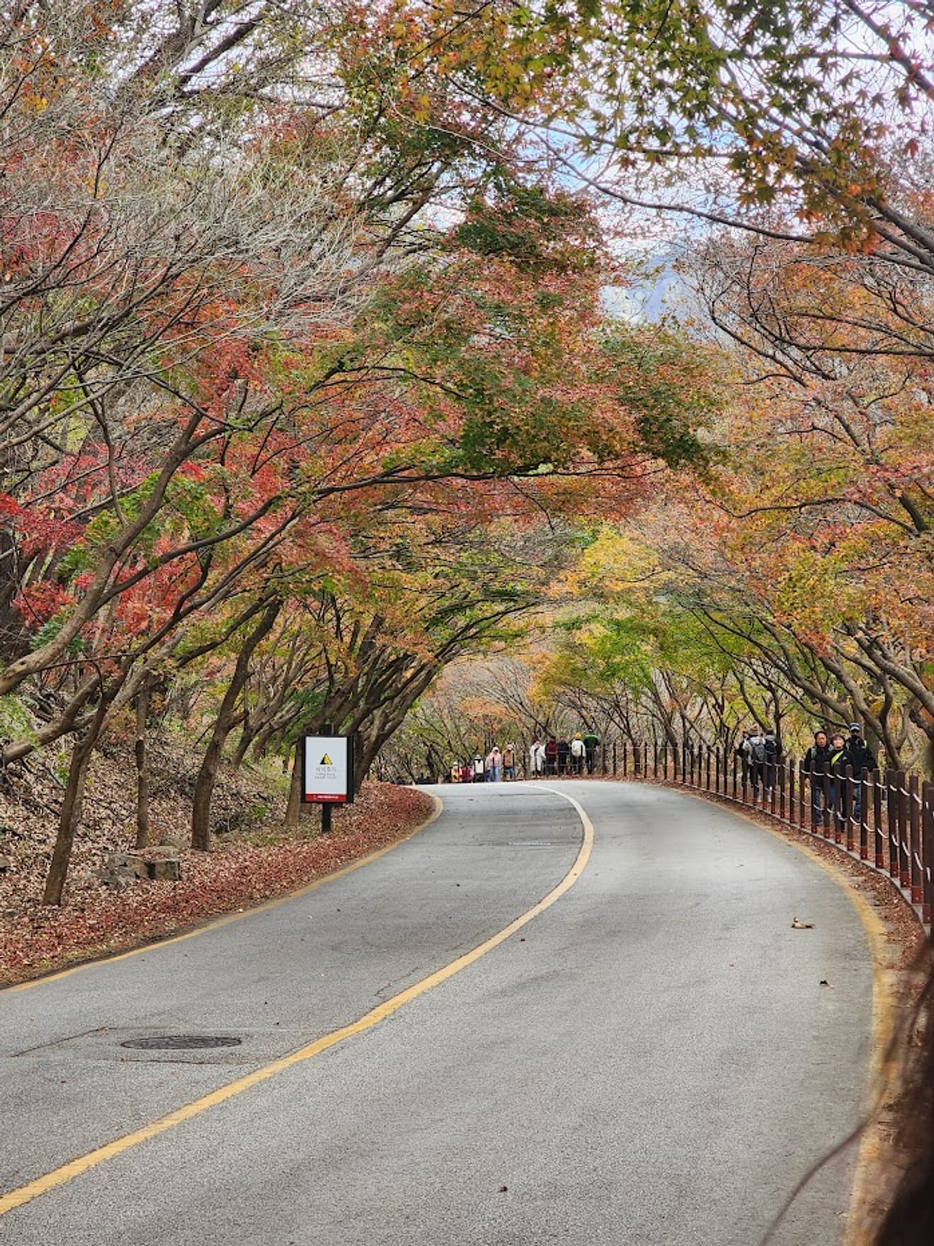 [National Park Stamp Tour] 12. Naejangsan National Park, Famous for its Maple Leaves, and the Cable Car