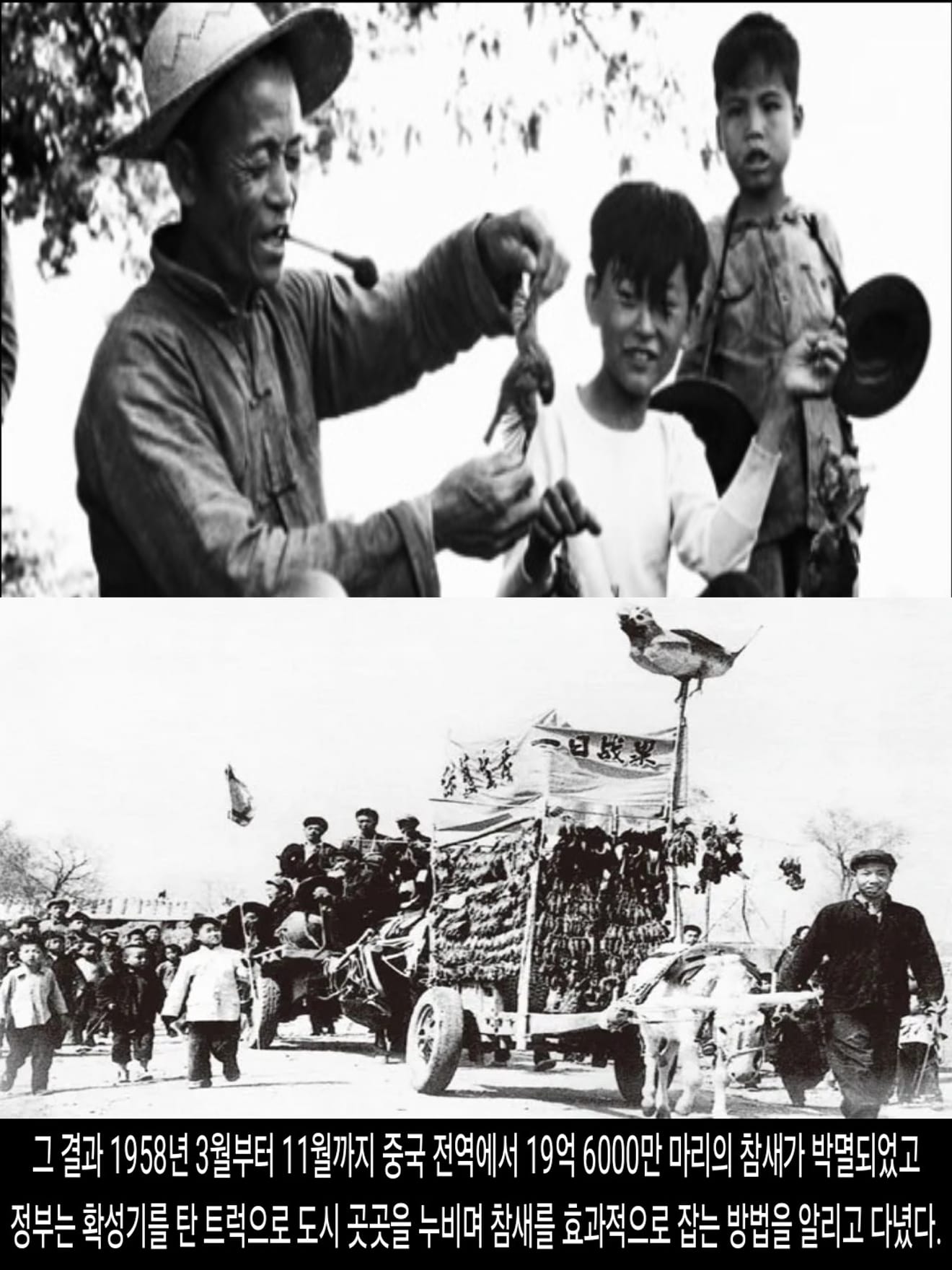 <DHC> นโยบายที่น่าสลดใจที่สุดในประวัติศาสตร์จีน การก้าวกระโดดครั้งใหญ่ ซึ่งทำให้ผู้คนหลายสิบล้านคนต้องเผชิญกับความตาย