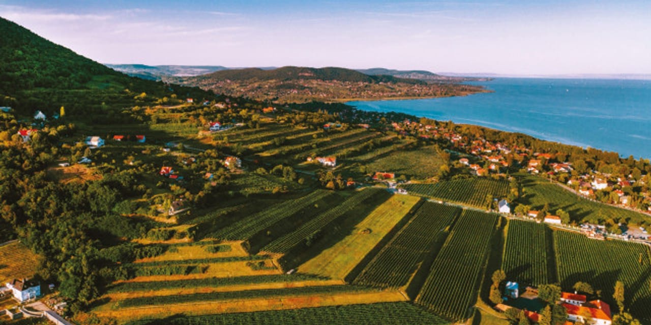 Associazione Ungherese del Vino, in collaborazione con Nimbility, inizia la conquista del mercato coreano