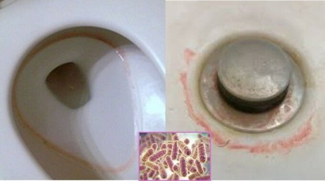 Zat Merah Muda yang Sering Muncul di Kamar Mandi, Bukan Jamur Tapi Bakteri?