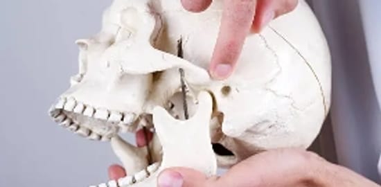 Nguyên nhân, triệu chứng, chẩn đoán và phương pháp điều trị các cơn đau hàm bên trái
