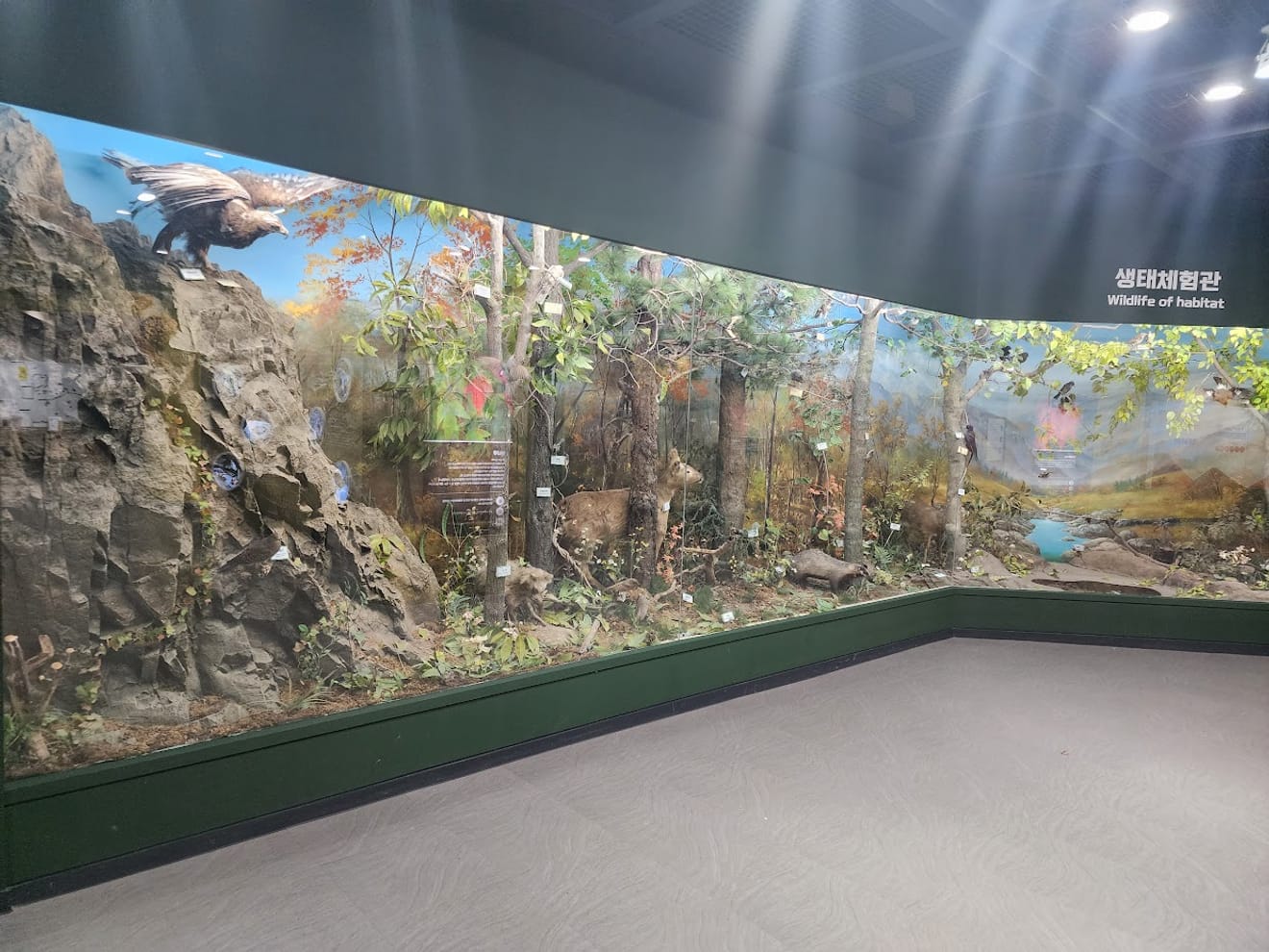 [National Park Stamp Tour] 12. Naejangsan National Park, Famous for its Maple Leaves, and the Cable Car