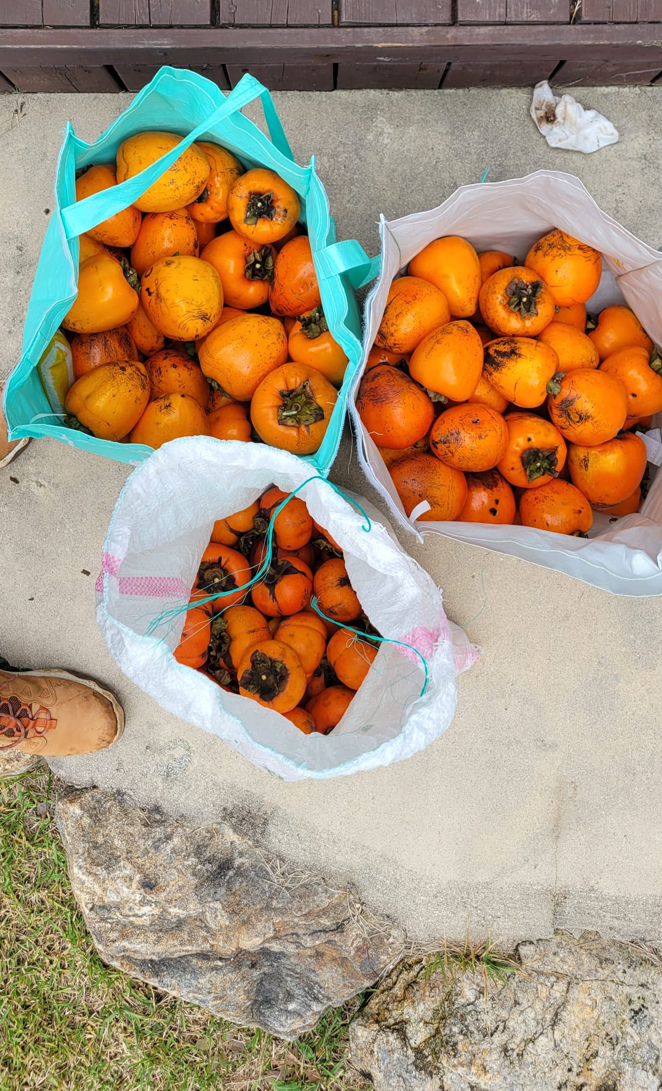 Peren plukken op het platteland
