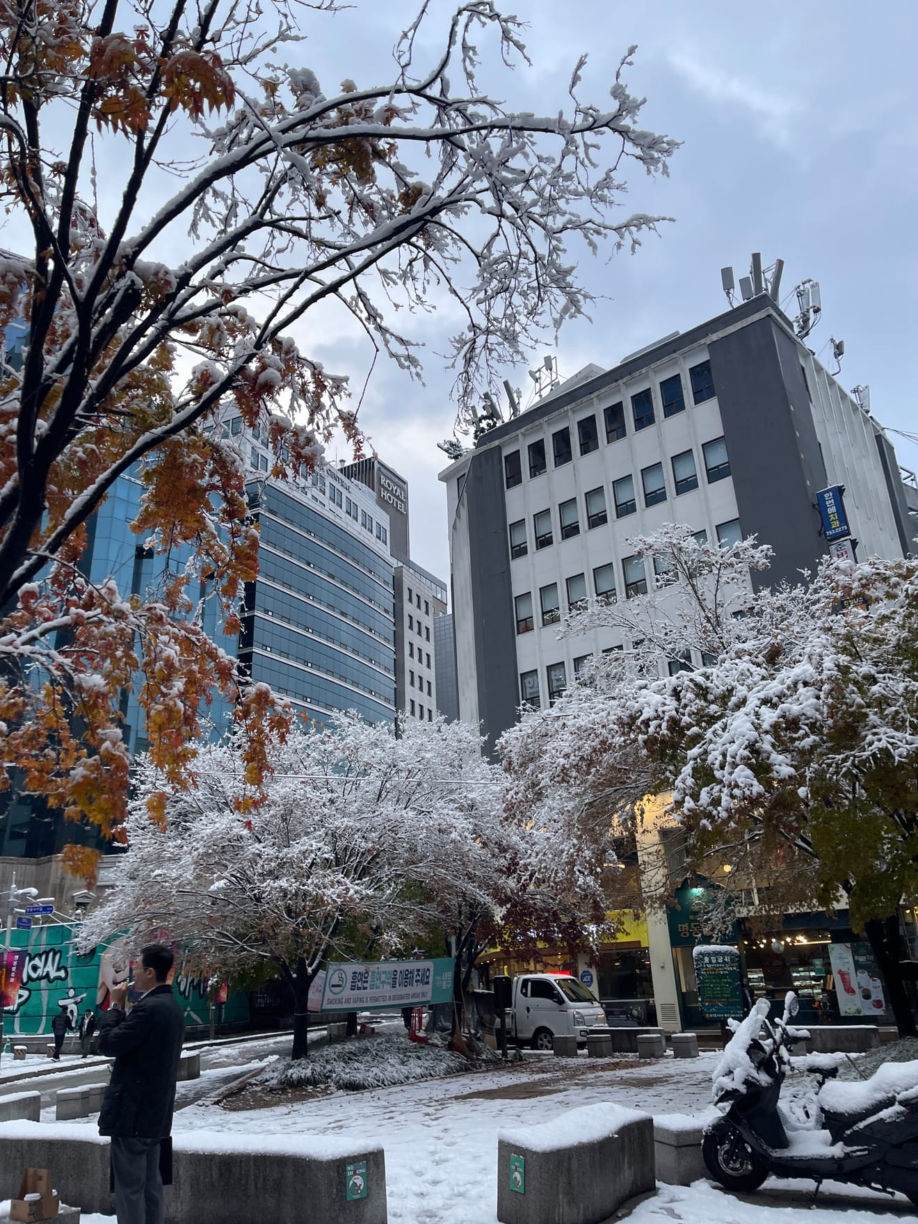 ソウル明洞に雪が降りました