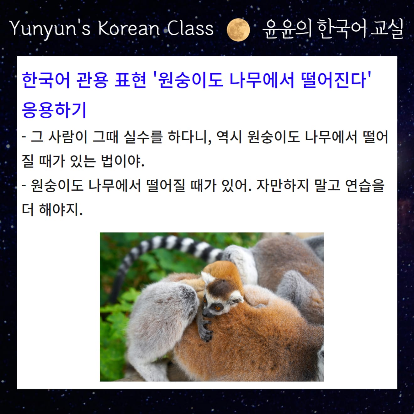 [Koreanische Redewendungen lernen] Auch Affen fallen vom Baum Even Monkeys Fall from Trees