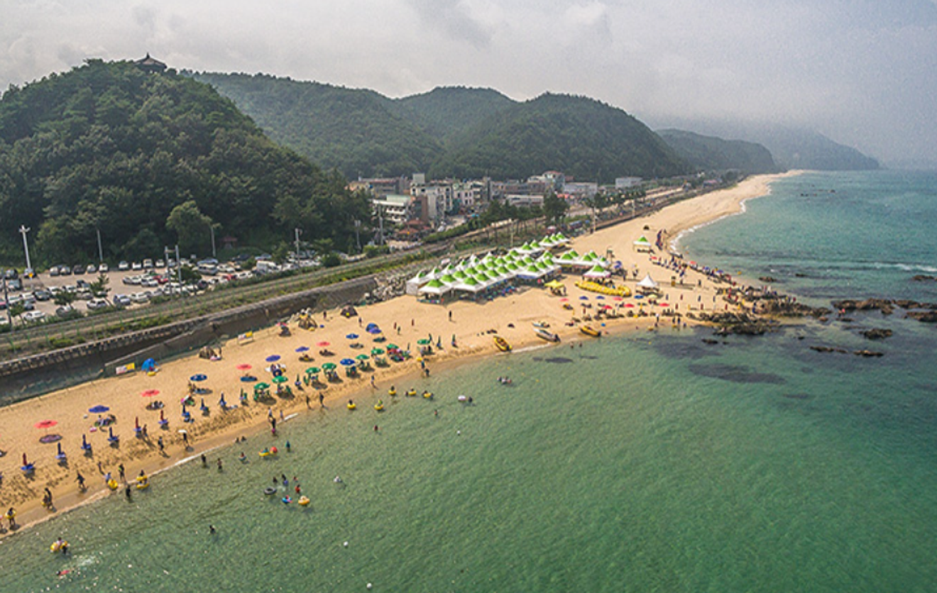 Gangneung Deniz Yolu (바다부채길) Boyunca Duyusal Bir Yolculuk