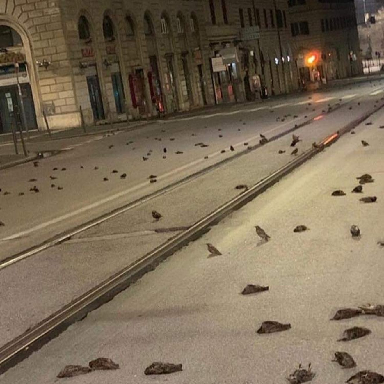 I fuochi d'artificio, spettacolari ma dannosi