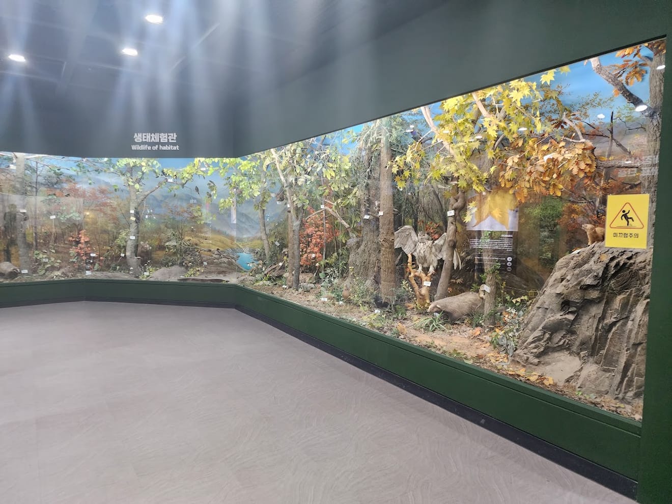 [National Park Stamp Tour] 12. Naejangsan National Park, Famous for its Maple Leaves, and the Cable Car