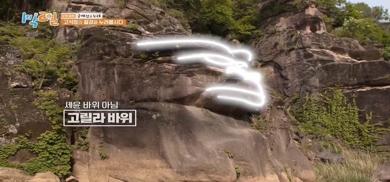 1 đêm 2 ngày, Gangwon-do Cheorwon, điểm đến thưởng ngoạn mùa xuân muộn nhất!