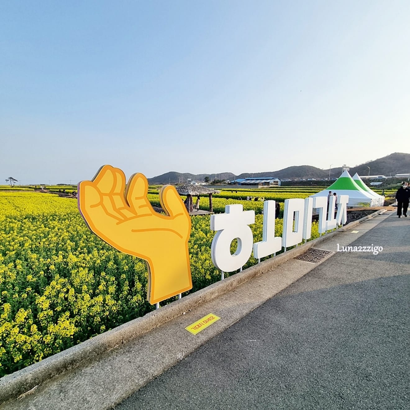 Campo de flores de canola muito bonito  Campo de flores de canola do Parque de Observatório do Nascer do Sol de Hoemi, Pohang