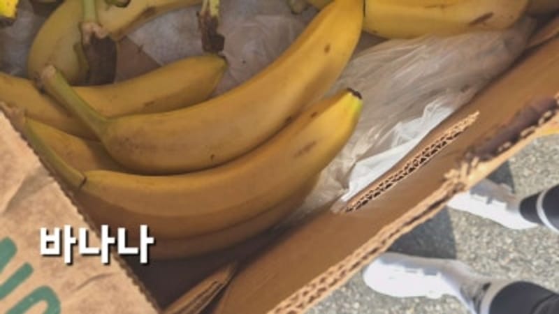 스페셜라이즈드 승리를 향한 퍼레이드 피터사간과 함께 춘천 62km 라이딩 후기