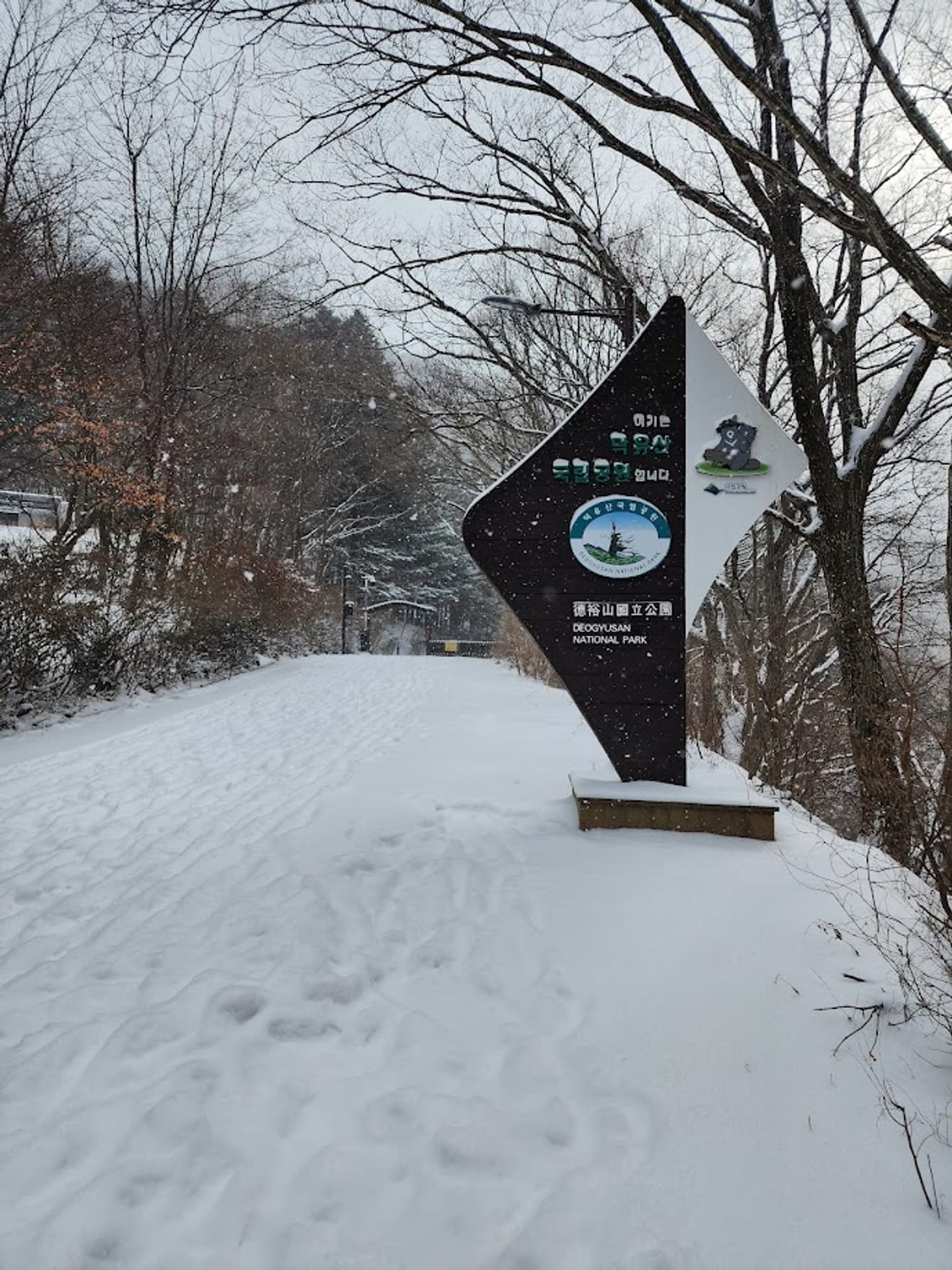 [National Park Stamp Tour] 13. Easy Snow Hiking in Naejangsan with a Cable Car, Even for Beginners