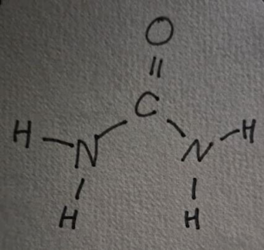 urea-structure