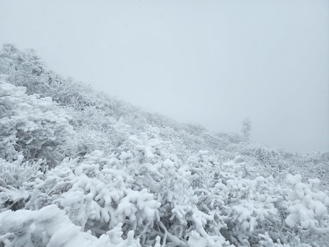 [National Park Stamp Tour] 13. Easy Snow Hiking in Naejangsan with a Cable Car, Even for Beginners