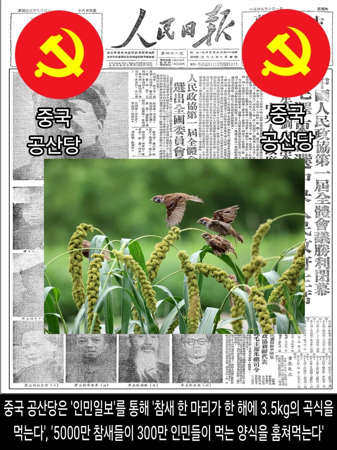 <DHC> นโยบายที่น่าสลดใจที่สุดในประวัติศาสตร์จีน การก้าวกระโดดครั้งใหญ่ ซึ่งทำให้ผู้คนหลายสิบล้านคนต้องเผชิญกับความตาย