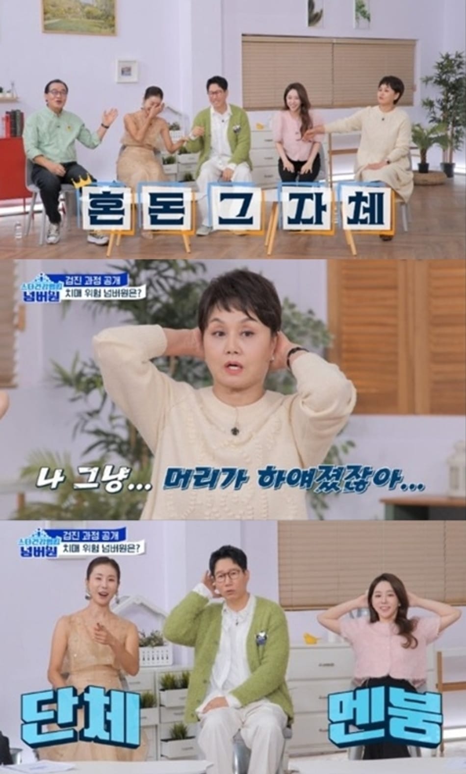 '스타건강랭킹 넘버원' 한다감 치매 ‘위험 1위