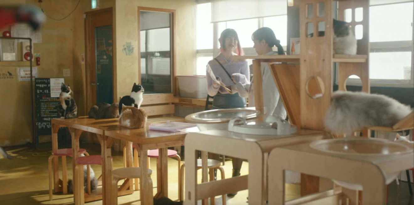 [K-Drama Çekim Yerleri Yolculuğu] 'Gündüz ve Gece Farklı Bir Kadın (Miss Night and Day)' Çekim Yerleri②