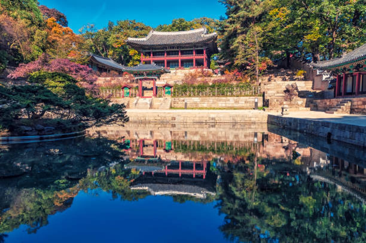 창경궁 रात्रिकालीन उद्घाटन कार्यक्रम, बुकिंग विधि, प्रवेश शुल्क छूट, यात्रा युक्तियाँ संकलन