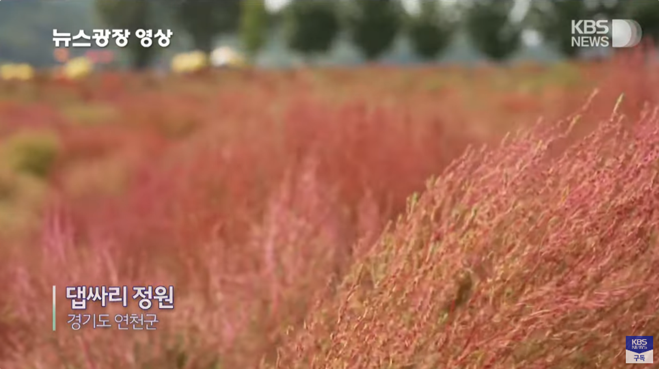 Belum Tentukan Destinasi Liburan? Rekomendasi Tempat Wisata Tersembunyi di KBS News Plaza, 20 Detik Saja! (Minggu ke-3 & 4 Oktober)