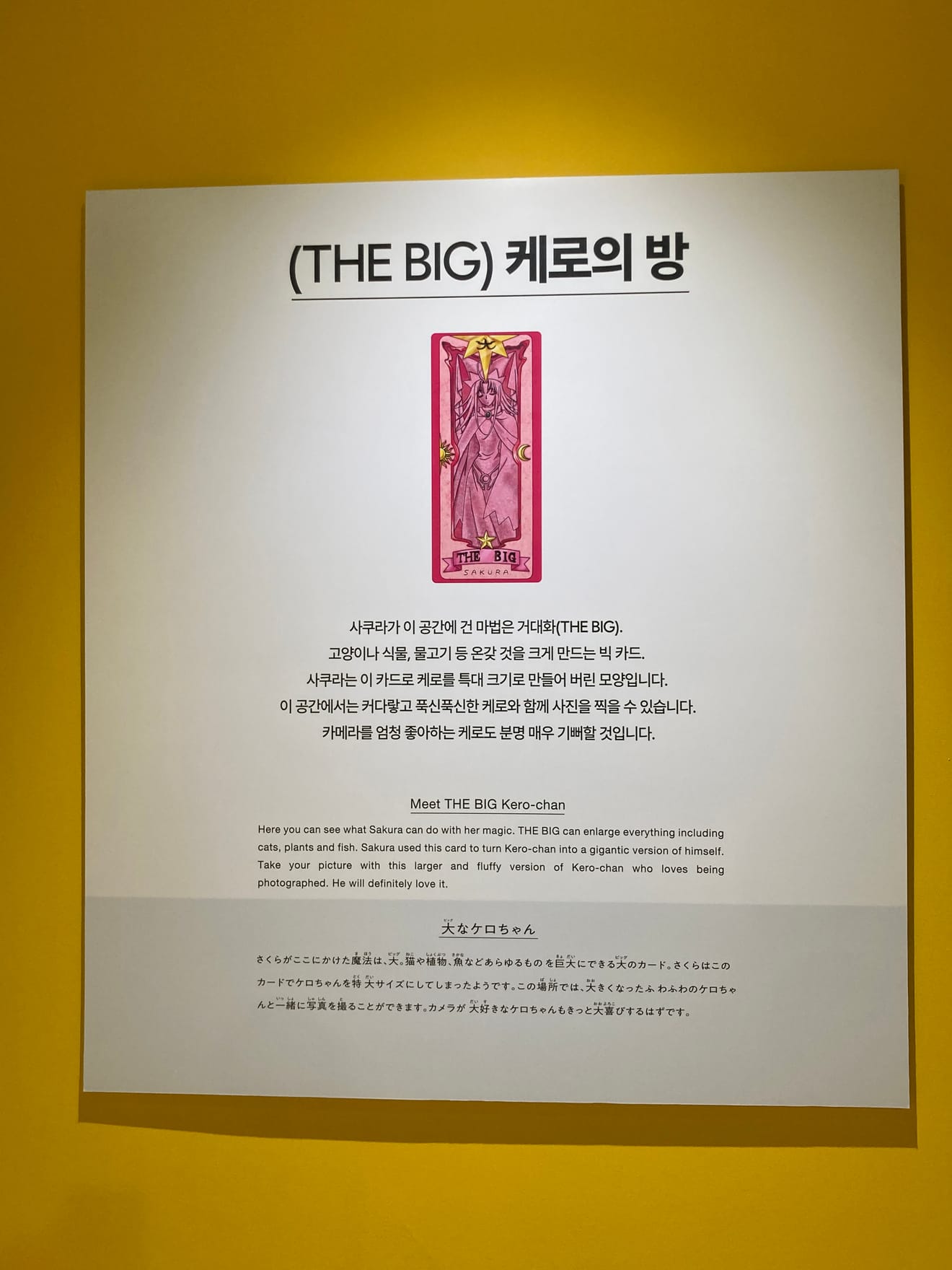 Cardcaptor Sakura Exhibition Sakura Exhibition Ticket Purchase and Viewing Review in Hongdae AK Plaza Museum X O Museum