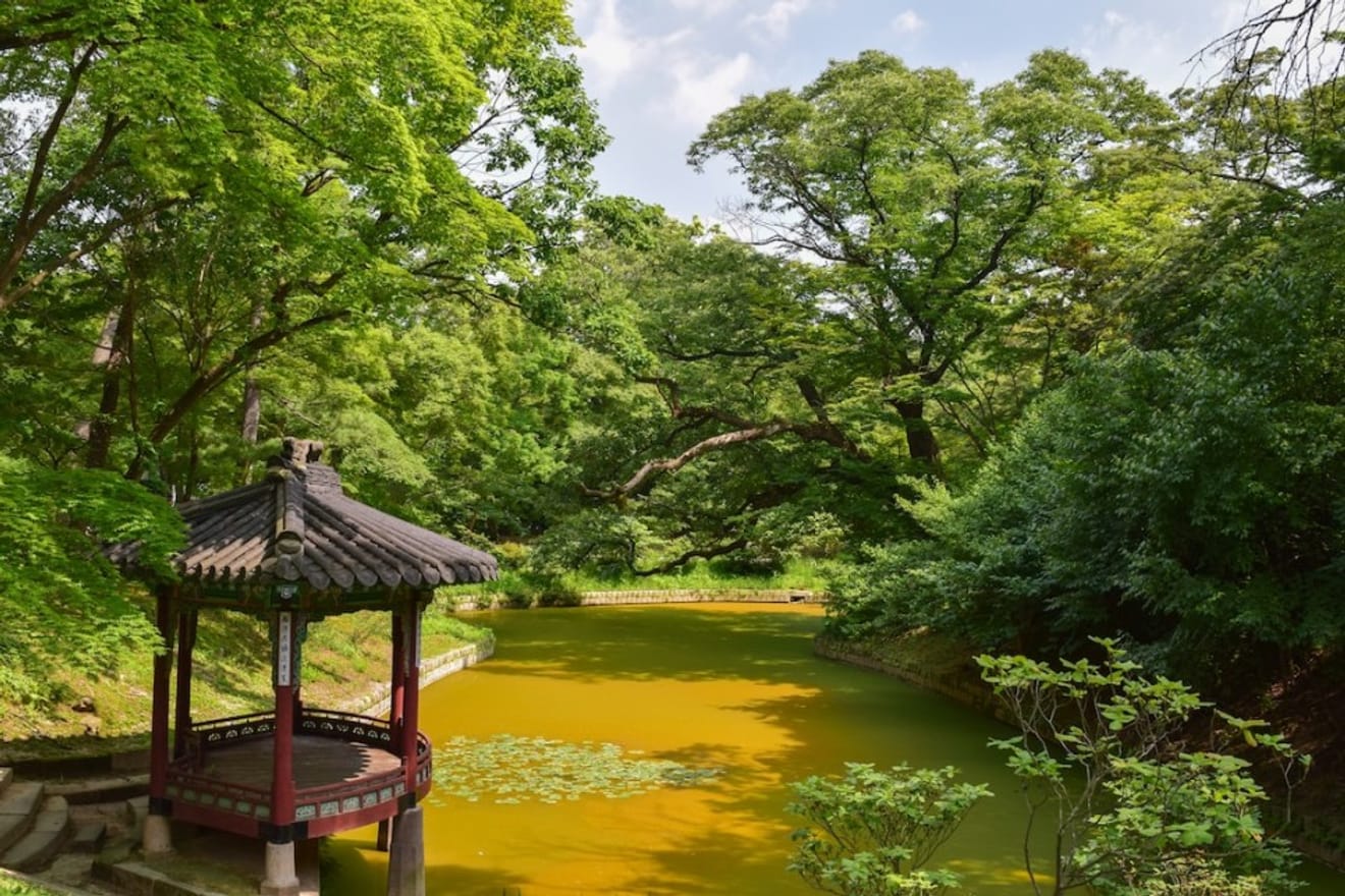 Site touristique de Séoul, le palais Changdeokgung, patrimoine mondial de l'UNESCO