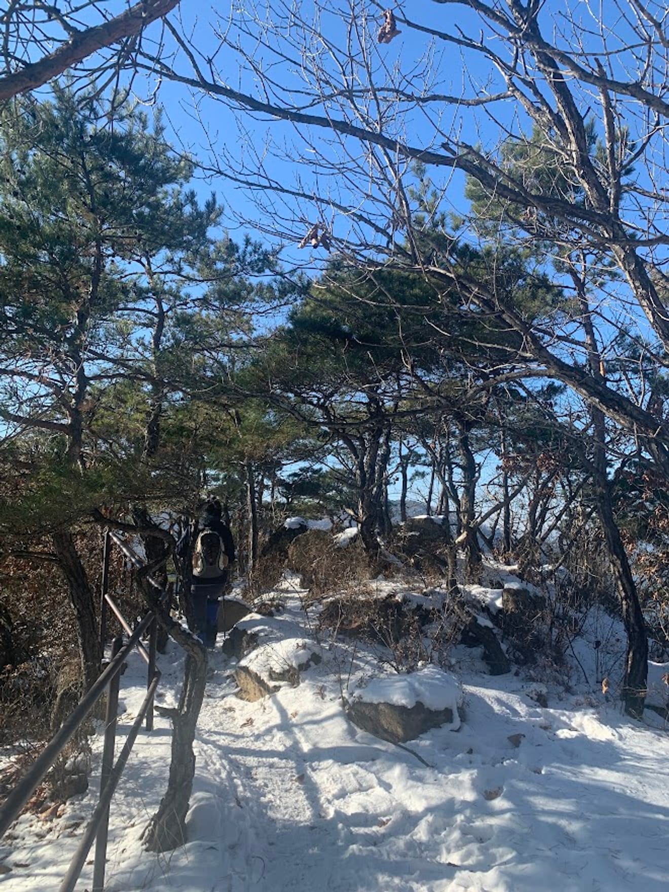 [Ulusal Park Pul Turu] 10. 월악산 (Walaksan) Yeni Başlayanlar İçin Kar Çiçeği Dağcılık Rotası Oksunbong'un Chungju Gölü Manzarası